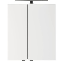 Spiegelschrank Pelipal Xpressline 4035 60 x 14,5 x 70,3 cm grau 2-türig LED IP 44