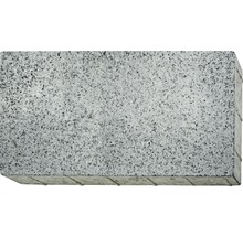 Pavé gris en béton