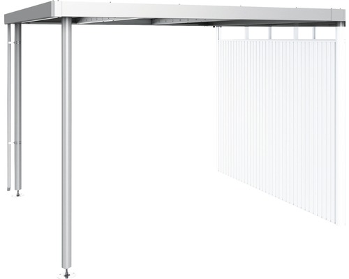 Seitendach biohort zu HighLine H5 282 x 315 cm silber-metallic