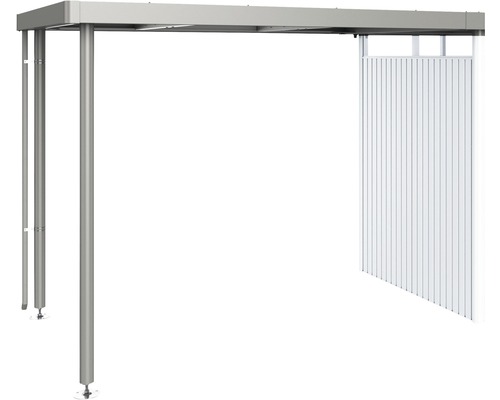 Toiture latérale biohort pour HighLine H2 282 x 195 cm gris quartz métallique