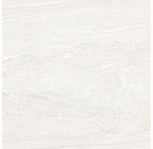 Carrelage pour sol en grès cérame fin Sahara antislip blanco 60x60-thumb-0