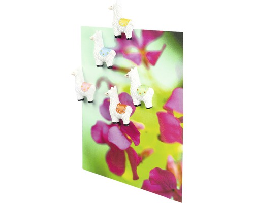 Dekorative Magnete in Lamaform auf einer Karte mit Blumenmotiv