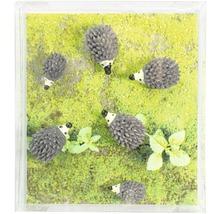 Dekomagnet Hedgehog 6er-Set grau
