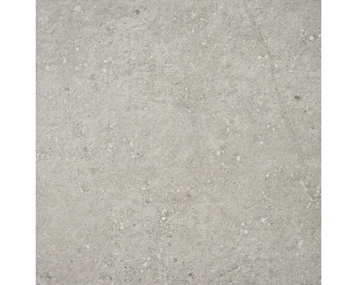 Carrelage en céramique gris avec surface mouchetée pour l'intérieur