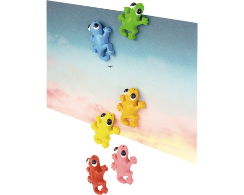 Mehrfarbige Froschmagnete als Dekoration für Memoboards
