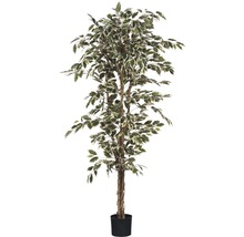 Ficus artificiel en pot