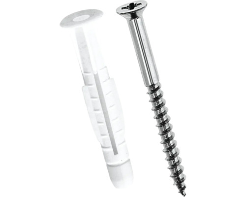 Cheville en plastique et vis