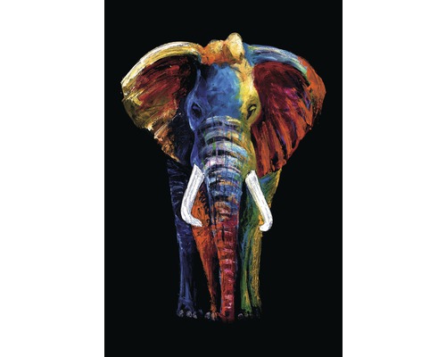 Panneau décoratif éléphant 61x91 cm