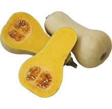 Courge butternut, entière et coupée en deux