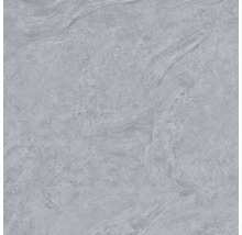 Carrelage pour mur et sol en grès cérame fin Onyx gris verre poli rectifié 80x80 cm