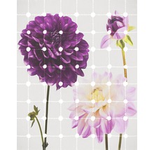 Nahaufnahme von drei Dahlienblüten auf einem Hintergrund mit Punktmuster