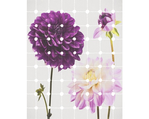 Papier peint panoramique intissé 6006A-VD2 Flowers & Dots 2 pces 200 x 250 cm Gros plan de trois fleurs de dahlias sur un fond à pois