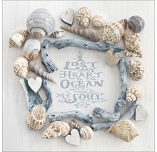 Décoration avec des coquillages, du bois flotté et des cœurs autour de la devise : J’ai perdu mon cœur dans l’océan et avec lui un morceau de mon âme
