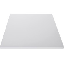 Plaque en verre acrylique pour système de balustrade Pertura anthracite  transparent 1500x673x8 mm (72) - HORNBACH Luxembourg