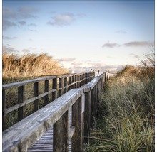 Passerelle en bois à travers un paysage de dunes