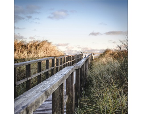 Passerelle en bois à travers un paysage de dunes