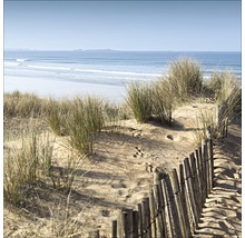 Paysage de plage avec dunes, oyats et clôture en bois