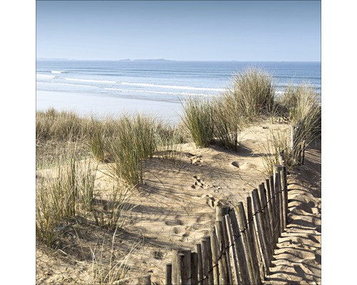 Paysage de plage avec dunes, oyats et clôture en bois