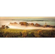 Paysage de vignes avec brouillard et église