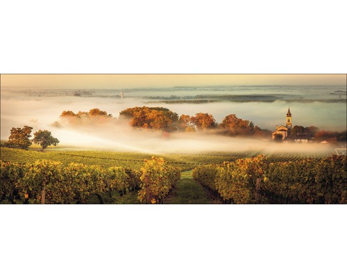 Vignoble avec brouillard et église en arrière-plan