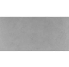 Feinsteinzeug Wand- und Bodenfliese Vega grigio 30,5x61,5 cm-thumb-2