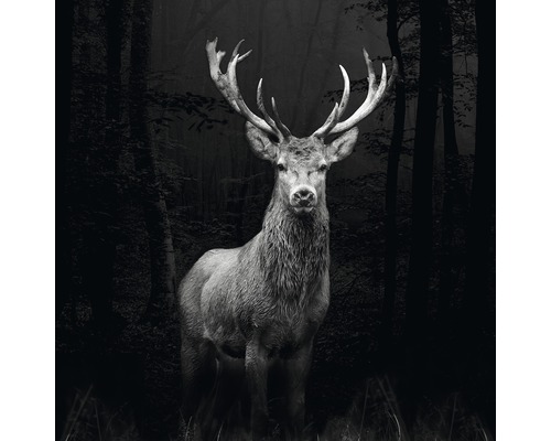 Tableau en verre Grey Deer Head 20x20 cm