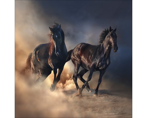 Image de deux chevaux au galop dans un environnement poussiéreux