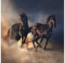 Deux chevaux au galop dans la poussière