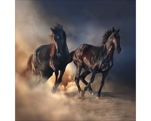 Tableau en verre Two running Horses 20x20 cm