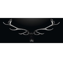 Illustration d''une tête de cerf avec des bois sur un fond noir