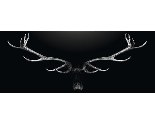 Tableau en verre Deer Antler 30x80 cm