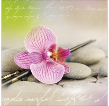 Nature morte décorative avec fleur d''orchidée rose et galets de rivière