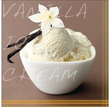 Glasbild Vanilla Ice Cream 20x20 cm GLA277