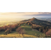 Ansicht der Burg Hohenzollern auf einem bewaldeten Hügel