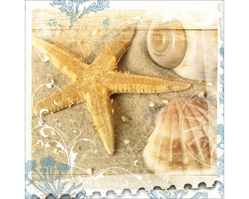 Dekoratives Stillleben mit Seestern, Sand und Muscheln