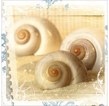 Image décorative avec coquillages sur sable devant un fond en bois
