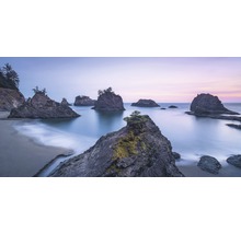 Küstenlandschaft mit Felseninseln im Meer