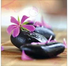 Schwarze Kieselsteine mit rosa Blütenblättern als Dekoration