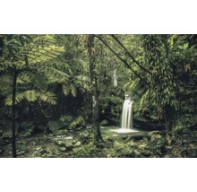 Üppiger Wald mit Wasserfall und vielen Farnen