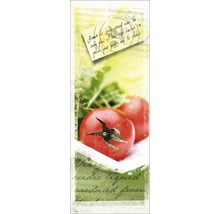 Illustration avec des tomates et des fragments de texte