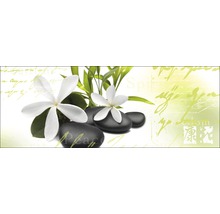 Image murale décorative avec fleurs et pierres