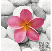 Image décorative avec une fleur rose sur des pierres grises