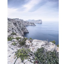 Küstenlandschaft mit Felsen, Meer und Vegetation