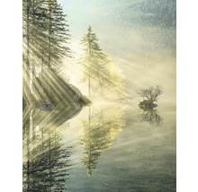 Landschaft mit Bäumen und einem See im Morgenlicht
