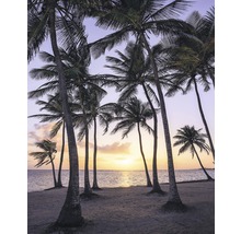 Fototapete Vlies SH022-VD2 Stefan Hefele Ed. 1 Palmtrees 2-tlg. 200 x 250 cm