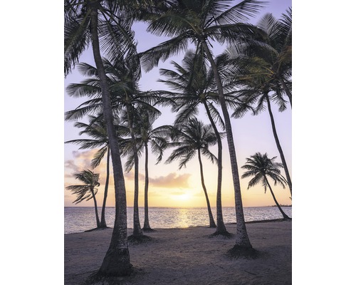 Fototapete Vlies SH022-VD2 Stefan Hefele Ed. 1 Palmtrees 2-tlg. 200 x 250 cm