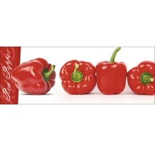 Glasbild Red Pepper 30x80 cm GLA432