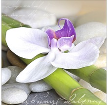 Tableau en verre Wellness III 30x30 cm