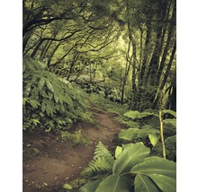 Waldweg mit üppiger Vegetation und Bäumen