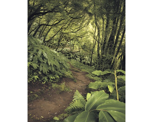 Fototapete Vlies SH029-VD2 Stefan Hefele Ed. 1 The Path 2-tlg. 200 x 250 cm